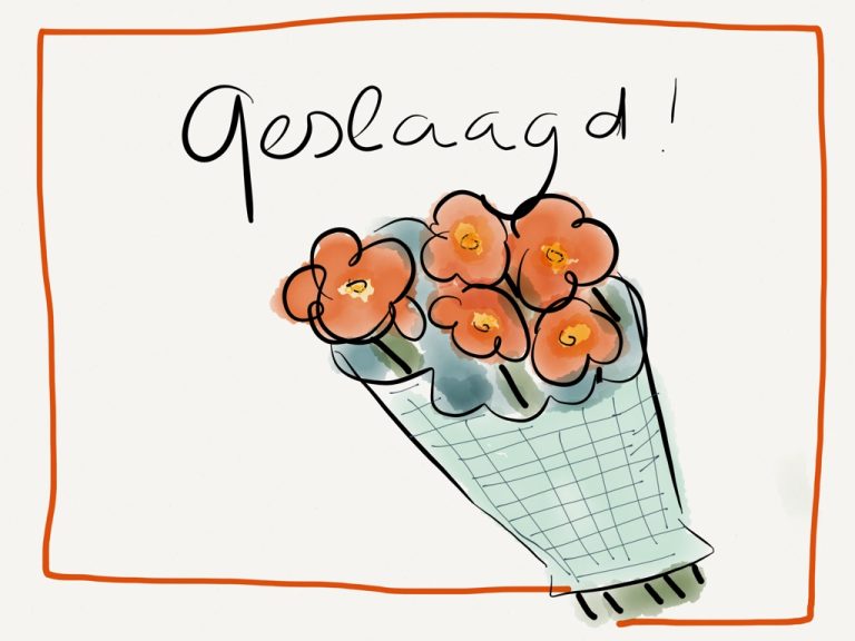 geslaagd e-learningtraject