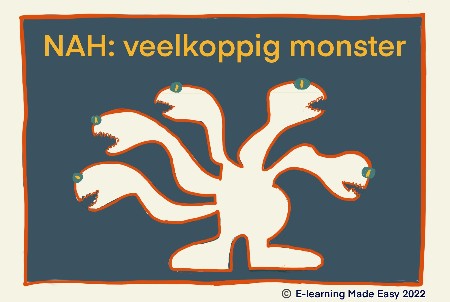 Niet aangeboren hersenletsel e-learning