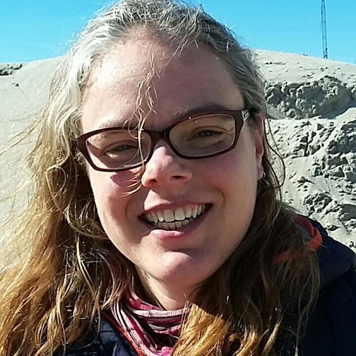 Profielfoto van auteur Drs. Marieke van Atten