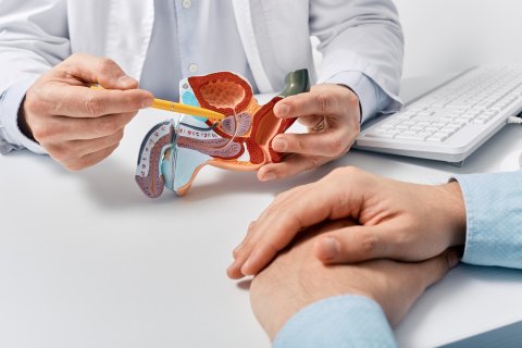 Afbeelding van cursus Het prostaatcarcinoom