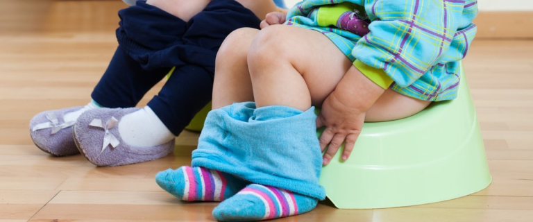 Afbeelding van cursus Kleine stappen, groot succes: Zindelijkheidstraining!