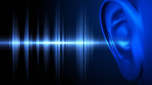 Afbeelding van cursus Perceptief gehoorverlies en tinnitus