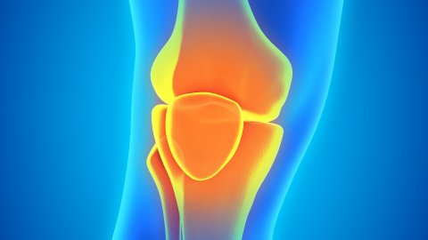 Afbeelding van cursus Fysiotherapie bij knieartrose