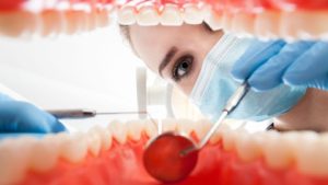 Afbeelding van cursus Anatomie - Gebitselementen