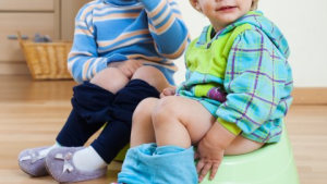 Afbeelding van cursus Kleine stappen, groot succes: Zindelijkheidstraining!