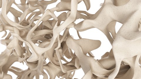 Afbeelding van cursus Osteoporose en fractuurpreventie