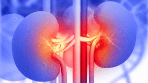 Afbeelding van cursus Verminderde nierfunctie: herkennen en handelen