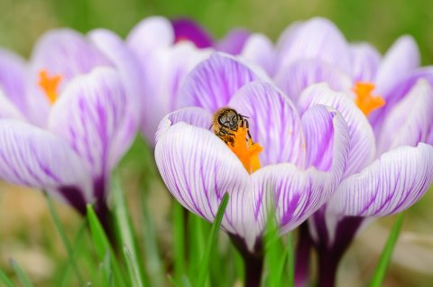 Afbeelding van cursus Seksueel grensoverschrijdend gedrag