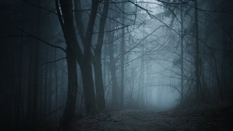 Afbeelding van cursus Angst bij kinderen en jongeren: signalen achter de buikpijn