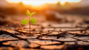 Afbeelding van cursus Tijdelijk aanpassen van medicijnen bij dreigende uitdroging