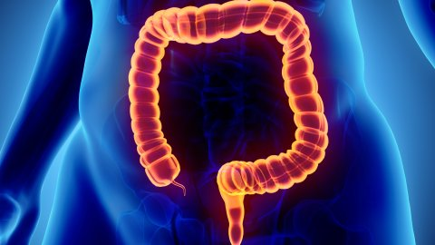Afbeelding van cursus Chronische inflammatoire darmziekten: colitis ulcerosa en de ziekte van Crohn