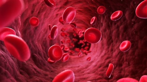 Afbeelding van cursus Directwerkende orale anticoagulantia bij atriumfibrilleren in de dagelijkse praktijk