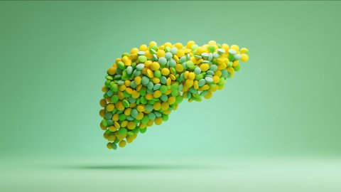 Afbeelding van cursus Medicatieveiligheid bij leverziekten