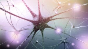 Afbeelding van cursus Epilepsie: tussen aanval en evenwicht