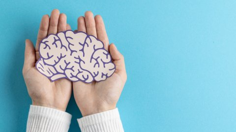 Afbeelding van cursus Diagnostiek van dementie: van anamnese tot biomarkers en beeldvorming